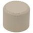 3/4" CTS CPVC Cap (Socket)