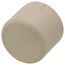 3/4" CTS CPVC Cap (Socket)