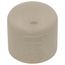 1" CTS CPVC Cap (Socket)