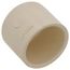 1" CTS CPVC Cap (Socket)