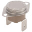 Temperature & Hi Limit Switch for TTW1-10 & TTW1-12 'L' models, 415-41831-00