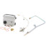 Icon Natural Gas Control for MI75S, 415-53361-01