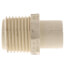 1/2" CTS CPVC Male Adapter (MIPT x Spigot)