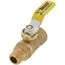 1/4" FIP x MIP Full Port Forged Brass Mini Ball Valve