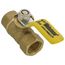 1/4" FIP Full Port Forged Brass Mini Ball Valve