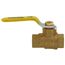 1/2" IPS Full Port Forged Brass Ball Valve with IPS Hole