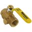 1/2" IPS Full Port Forged Brass Ball Valve with IPS Hole