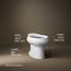 Wellworth Elongated Toilet Bowl (White), K-4198-0