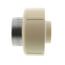 1/2" CTS CPVC Union w/ Stainless Steel Collar (Socket x SR FIPT)