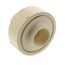3/4" CTS CPVC Union w/ Stainless Steel Collar (Socket x SR FIPT)