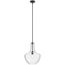 Everly 19.75" 1 Light Bell Pendant Clear Glass (Black)