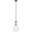 Everly 17.75" 1 Light Hour Glass Pendant Clear Glass (Black)