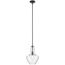Everly 15.25" 1 Light Bell Pendant Clear Glass (Black)