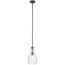 Everly 13.75" 1 Light Hour Glass Pendant Clear (Black)