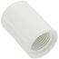 1/2" PVC Sch. 40 Coupling (FIPT)