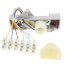 Dual Auxiliary Switch for CREVAL actuators