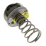Cage Unit for Model B1 (integral seat with integral bellows) Trane Traps