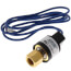 SPST Normally Closed, Fixed Setting Pressure Control (250 PSI Cut In, 350 PSI Cut Out)