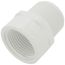 1" PVC Sch. 40 Female x Male Cut-Off Riser Extension