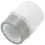 3/4" PVC Schedule 40 Spec. Reinforced Female Adapter