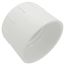 4" PVC Schedule 40 Female Adapter