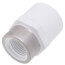 3/4" x 1/2" PVC Schedule 40 Socket x SR Female Adapter