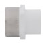 3/4" x 1" PVC Schedule 40 Socket x SR Female Adapter