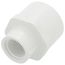 1" x 1/2" PVC Schedule 40 Socket x Female Adapter