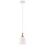 Danika 9.25" 1 Light Mini Pendant w/ White finish and Wood Accents