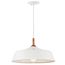 Danika 9.25" 1 Light Pendant w/ White finish and Wood Accents
