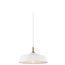 Danika 9.25" 1 Light Pendant w/ White finish and Wood Accents
