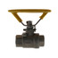 1/2" IPS Full Port 316 Stainless Steel 2-Piece Ball Valve with Oval Handle