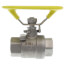 3/4" IPS Full Port 316 Stainless Steel 2-Piece Ball Valve with Oval Handle