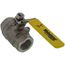 1" IPS Full Port 316 Stainless Steel 2-Piece Ball Valve