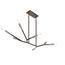 Branches 19.75" 7 Light Chandelier (Black) w/ (Antique Pewter) Accents