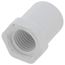 3/8" x 1/4" PVC Schedule 40 Spigot x FPT Bushing