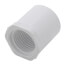 3/4" x 1/2" PVC Schedule 40 Spigot x Female Bushing