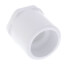 1" x 1/2" PVC Schedule 40 Spigot x Female Bushing