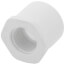 1-1/4" x 3/4" PVC Schedule 40 Spigot x Female Bushing