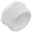 2" x 3/4" PVC SCH 40 M x F Bushing