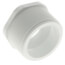 2-1/2" x 2" PVC SCH 40 M x F Bushing