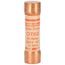 Fuse - 60 A/250V, 44-25261-34