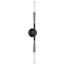 Branches 2 Light Wall Sconce (Black)