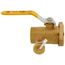 2029PT 1-1/4" Full Port Ball Valve w/ Purge (FNPT x Flange) 