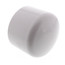 2-1/2" PVC Schedule 40 Cap