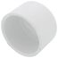 2-1/2" PVC Schedule 40 Cap