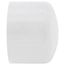2-1/2" PVC Schedule 40 Cap