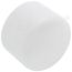2-1/2" PVC Schedule 40 Cap