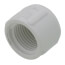 3/8" PVC Schedule 40 Female Cap