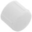 1/2" PVC Schedule 40 Female Cap
